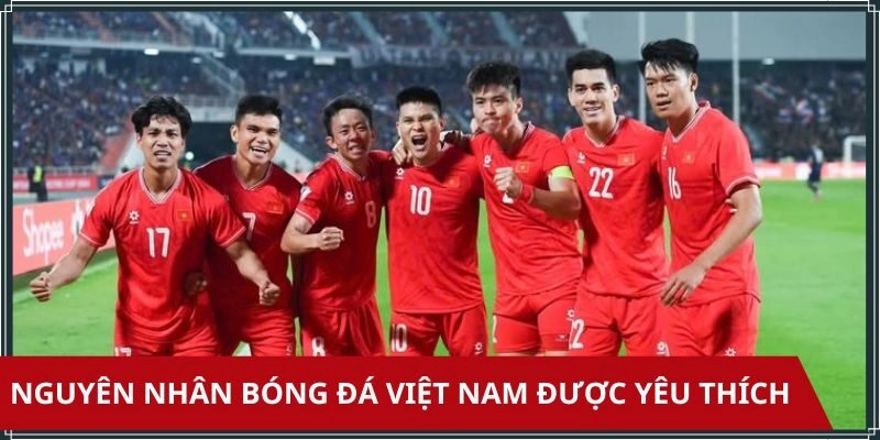 Nguyên nhân bạn không xem được trực tiếp bóng đá Việt Nam